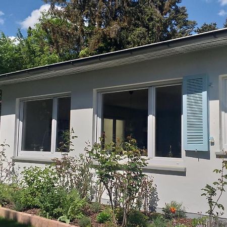 Gartenchalet Rotkehlchen Bad Homburg vor der Höhe Eksteriør billede