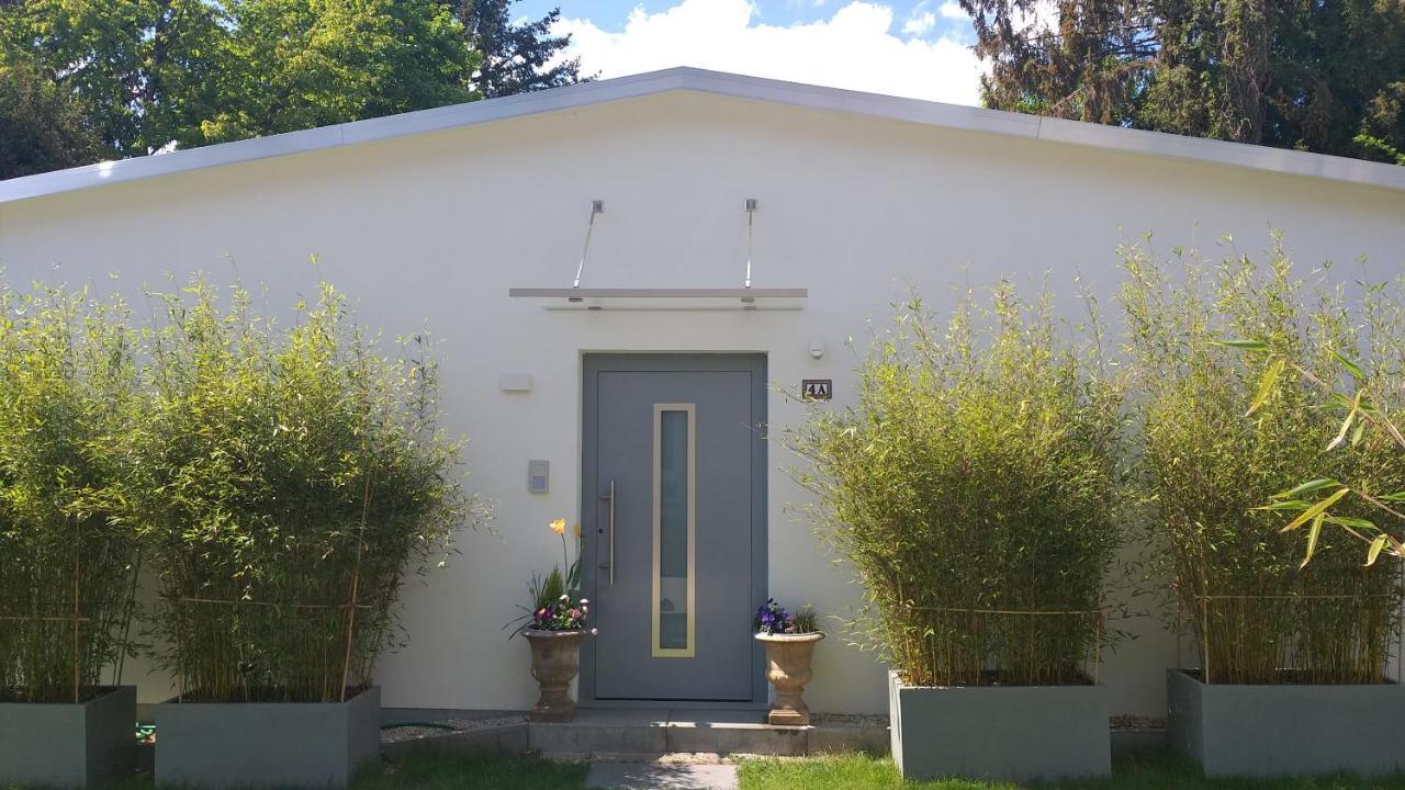 Gartenchalet Rotkehlchen Bad Homburg vor der Höhe Eksteriør billede