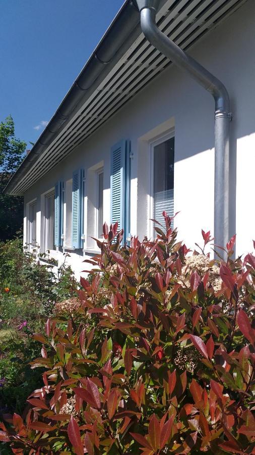 Gartenchalet Rotkehlchen Bad Homburg vor der Höhe Eksteriør billede