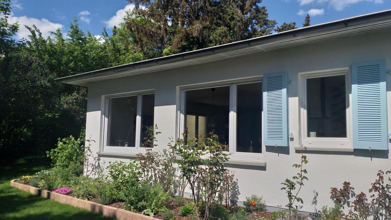 Gartenchalet Rotkehlchen Bad Homburg vor der Höhe Eksteriør billede